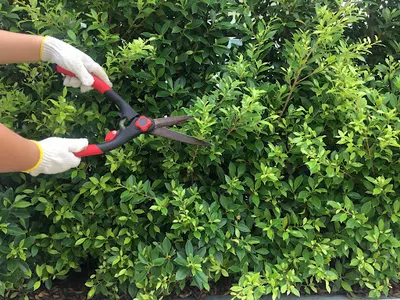 GoldGarden Wojciech Pastuszak